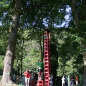  Sproing Pics (75/145)